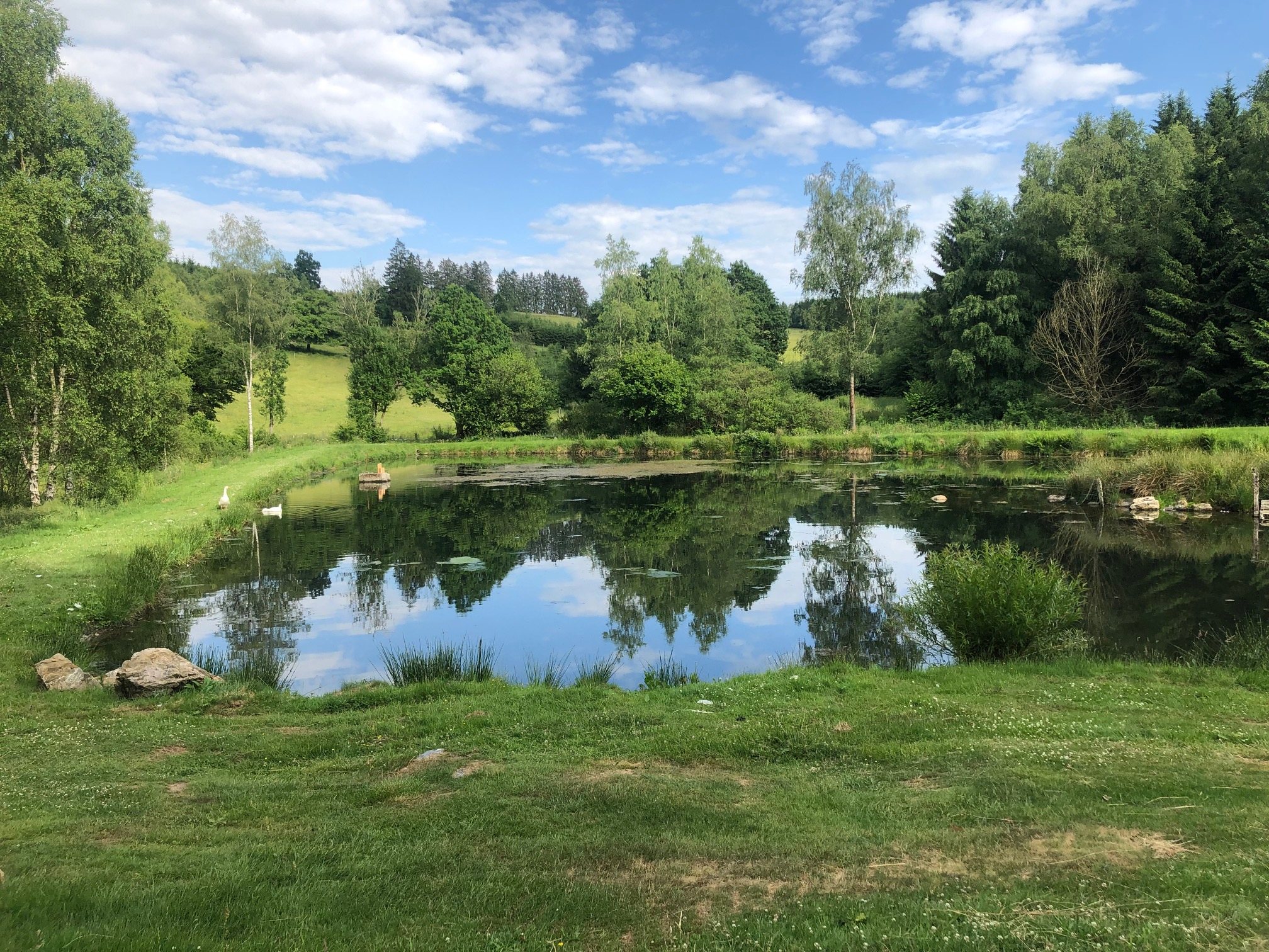 Vielsalm et le Val de Salm, au cœur de l’Ardenne belge
